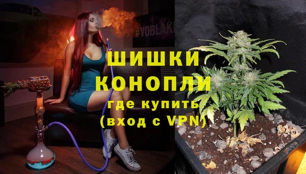 кокс Дмитриев