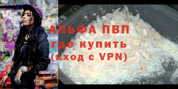 ECSTASY Гусев