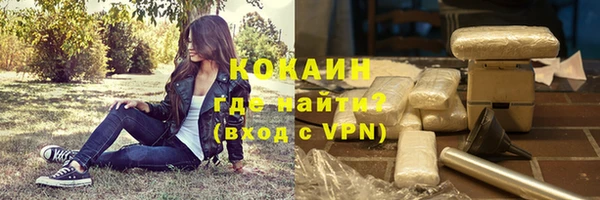 кокс Дмитриев