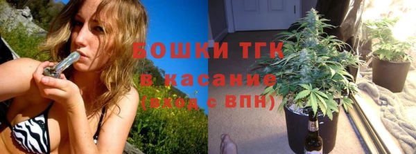 кокс Дмитриев