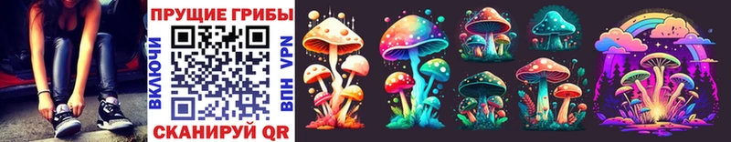 Псилоцибиновые грибы Psilocybine cubensis Уяр