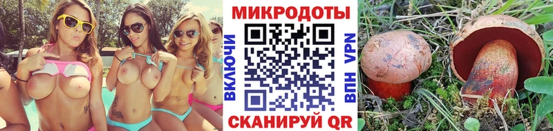 Купить где  Уяр  Псилоцибиновые грибы GOLDEN TEACHER 